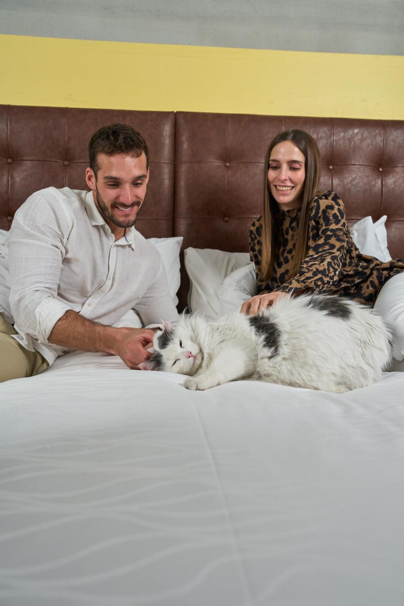 Готель Pullman Santiago El Bosque Екстер'єр фото A cat with its owners